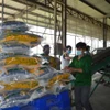 Sản xuất gạo tại Công ty Cổ phần Tập đoàn Tân Long - Chi nhánh Đồng Tháp (xã Định An, huyện Lấp Vò, Đồng Tháp). (Ảnh: Nhựt An/TTXVN)
