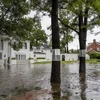 Cảnh ngập úng sau khi bão Beryl quét qua Texas. (Ảnh: Getty images)