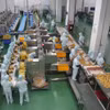 Công nhân một nhà máy có vốn FDI tại Tiền Giang. (Ảnh: Lâm Nguyên/TTXVN)
