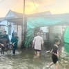 Lực lượng dân quân cơ động giúp người dân di chuyển đồ đạc ra khỏi khu vực nước ngập. (Ảnh: TTXVN phát)