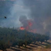 Khói lửa bốc lên sau cuộc tấn công của lực lượng Hezbollah tại Liban xuống miền Bắc Israel. (Ảnh: THX/TTXVN)