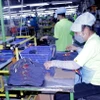 Công nhân Công ty TNHH Chang Chun Vina (Cụm công nghiệp An Ngãi, huyện Long Điền) trong giờ sản xuất. (Ảnh: Hoàng Nhị/TTXVN)