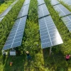 Tấm năng lượng mặt trời tại tỉnh Quý Châu, Trung Quốc. (Ảnh: AFP/TTXVN)