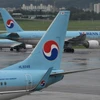 Máy bay của hãng hàng không Korean Air tại sân bay Gimpo ở Seoul, Hàn Quốc. (Ảnh: AFP/TTXVN)