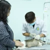Người dân đưa chó, mèo tiêm vaccine phòng dại. (Ảnh: Đinh Hằng/TTXVN)