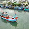 Tàu thuyền được lắp đặt thiết bị giám sát hành trình khai thác thủy sản. (Ảnh: Vũ Sinh/TTXVN)