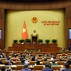 Quốc hội biểu quyết thông qua Nghị quyết bầu Chủ tịch nước. (Ảnh: TTXVN)
