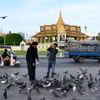 Khách du lịch cho bồ câu ăn tại Phnom Penh, Campuchia. (Ảnh: AFP/TTXVN)