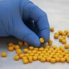 Từng được coi là tai họa của Bắc Mỹ, opioid đang lan rộng ở Đông Âu. (Ảnh: AFP)