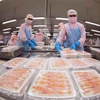 Chế biến tôm xuất khẩu. (Ảnh: Vũ Sinh/TTXVN)