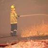 Nhân viên cứu hỏa nỗ lực dập lửa cháy rừng tại Parkerville, Perth, Australia năm 2023. (Ảnh: AFP/TTXVN)