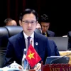 Thứ trưởng Bộ Ngoại giao Đỗ Hùng Việt. (Ảnh: Xuân Tú/TTXVN)