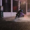 Khu vực từ Thanh Hóa-Quảng Ngãi có mưa vừa, mưa to, cục bộ có mưa rất to với lượng mưa từ 40-90mm, có nơi trên 150mm. (Ảnh: Hoàng Hiếu/TTXVN)