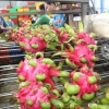 Sơ chế thanh long xuất khẩu. (Nguồn: TTXVN)
