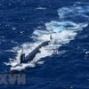 Tàu ngầm hạt nhân của Mỹ. (Ảnh: AFP/TTXVN)