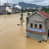 Nhiều ngôi nhà gần bờ sông ở khu vực thành phố Cao Bằng bị ngập sâu trong nước. (Ảnh: TTXVN phát)
