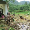Người dân địa phương nỗ lực tìm người thân bị nạn sau lũ dữ. (Ảnh: Hồng Ninh/TTXVN)
