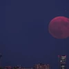 Siêu Trăng xuất hiện trên đường chân trời của Madrid, tại Pozuelo de Alarcon, Tây Ban Nha. (Nguồn: AP)