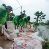 Cán bộ, chiến sỹ Trung đoàn 102 hỗ trợ người dân đắp bao tải đất gia cố đê sông Tích. (Ảnh: Minh Quyết/TTXVN)