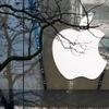 Liên minh châu Âu đang xem xét phạt Apple. (Nguồn: Reuters)
