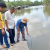 Đo mặn ở các huyện ven sông Hậu tỉnh Sóc Trăng. (Ảnh: Tuấn Phi/TTXVN)