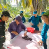 Tìm kiếm, quy tập hài cốt liệt sĩ tại nghĩa trang Hàng Me. (Ảnh TTXVN phát)