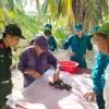 Tìm kiếm, quy tập hài cốt liệt sĩ tại nghĩa trang Hàng Me. (Ảnh TTXVN phát)