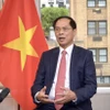 Phó Thủ tướng, Bộ trưởng Ngoại giao Bùi Thanh Sơn trả lời phỏng vấn về chuyến công tác của Tổng Bí thư, Chủ tịch nước Tô Lâm tới Mông Cổ, Iceland và Pháp. (Ảnh: TTXVN phát)