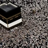 Các tín đồ Hồi giáo cầu nguyện tại Đền thờ Lớn ở thánh địa Mecca, Saudi Arabia, trước lễ hành hương Hajj, ngày 13/6/2024. (Ảnh: AFP/TTXVN)