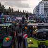 Nông dân Hy Lạp biểu tình kêu gọi hỗ trợ tài chính tại thủ đô Athens ngày 20/2/2024. (Ảnh: THX/TTXVN)