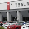 Phòng trưng bày của Tesla ở California, Mỹ. (Ảnh: AFP/TTXVN)