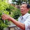 Anh hùng Lực lượng vũ trang nhân dân Nguyễn Quang Hạnh. (Ảnh: Nguyễn Lành/TTXVN)