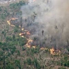Khói bốc lên từ đám cháy rừng tại Labrea, bang Amazonas, Brazil. (Ảnh: Getty Images/TTXVN)