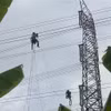 Thi công đường dây 220kV Nhiệt điện Hải Dương-Trạm 500kV Phố Nối. (Ảnh: TTXVN phát)