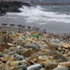 Rác thải nhựa trôi dạt vào bờ biển ở Ouzai, phía nam Beirut, Liban ngày 19/7/2018. (Ảnh: AFP/TTXVN)