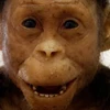 Hình ảnh mô phỏng về một đứa trẻ Australopithecus afarensis. (Nguồn: Live Science)