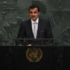 Quốc vương Qatar Sheikh Tamim bin Hamad al-Thani. (Ảnh: AFP/TTXVN)