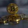 Đồng bitcoin. (Ảnh: AFP/TTXVN)