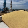 Ngũ cốc chờ được vận chuyển tại cảng biển Izmail, vùng Odesa, Ukraine. (Ảnh: AFP/TTXVN)