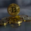 Đồng bitcoin. (Ảnh: AFP/TTXVN)