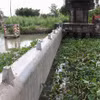 Hệ thống cống trên địa bàn thành phố Vị Thanh được vận hành nhằm ngăn nước mặn xâm nhập sâu. (Ảnh: Hồng Thái/TTXVN)