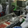 Sản xuất dược phẩm tại nhà máy của Công ty Cổ phần Dược - Trang thiết bị Y tế Bình Định. (Ảnh: Vũ Sinh/TTXVN)