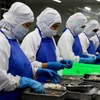 Chế biến tôm xuất khẩu. (Ảnh: Hồng Đạt/TTXVN)