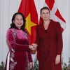 Thủ tướng Đan Mạch Mette Frederiksen đón Phó Chủ tịch nước Võ Thị Ánh Xuân. (Ảnh: An Đăng/TTXVN)