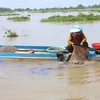 Mưu sinh mùa lũ muộn ở nơi đầu nguồn châu thổ sông Cửu Long 