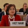 Đại sứ Lê Thị Tuyết Mai, Trưởng Phái đoàn đại diện thường trực Việt Nam tại Geneva. (Ảnh: Nguyễn Tuấn/TTXVN)