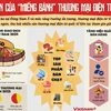 Sức hấp dẫn của "miếng bánh" thương mại điện tử Việt Nam