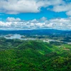 Rừng tại Đắk Nông có vai trò phòng hộ đầu nguồn rất quan trọng cho khu vực Tây Nguyên và các tỉnh miền Đông Nam bộ. (Ảnh: Minh Hưng/Vietnam+)