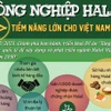 Thị trường Halal: Tiềm năng "nghìn tỷ USD" chưa được khai phá