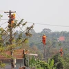 (Ảnh minh họa: Dư Toán/TTXVN)